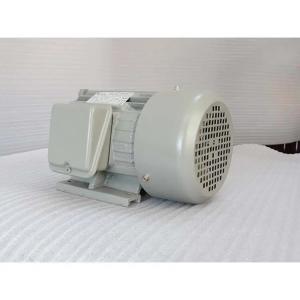 Quality 200kw Ac 4 Pole Induction Motor 3 Phase 380V 50Hz Foot Mounting for sale