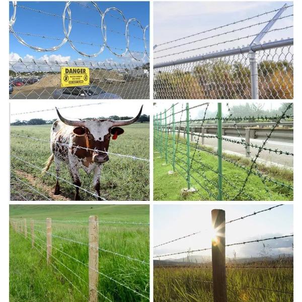 Galvanized Double Twist Barbed Wire 20kg/Coil For Grass Boundary