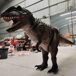 Quality Personalization Realistic Dinosaur Costume Carcharodontosaurus Model for sale