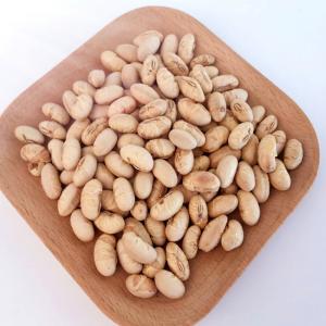 China Superior Quality Sea Salt Roasted Soya Bean Snacks Healthy Nutritious on sale