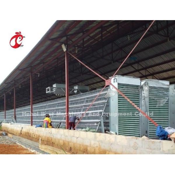 A Type Full Automatic Cage System For Layers Hot Dip Galvanized Adela