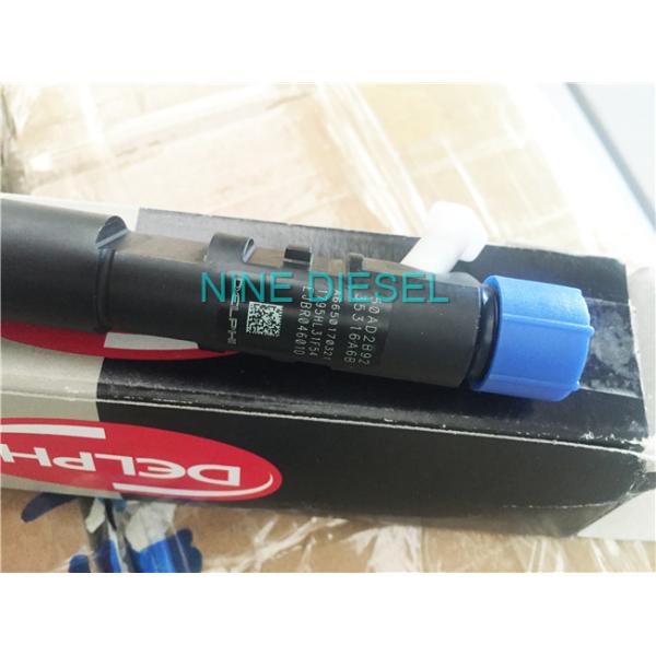 Ssangyong Delphi Diesel Injector , Delphi Fuel Injectors EJBR04601D R04601D