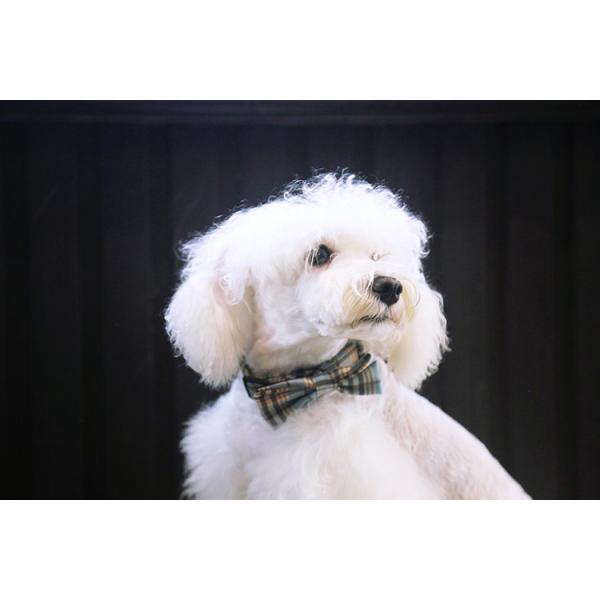 86CM 3 Inch Soft Handmade Cotton dog collar necklace Cats Puppy Bow Tie Collar