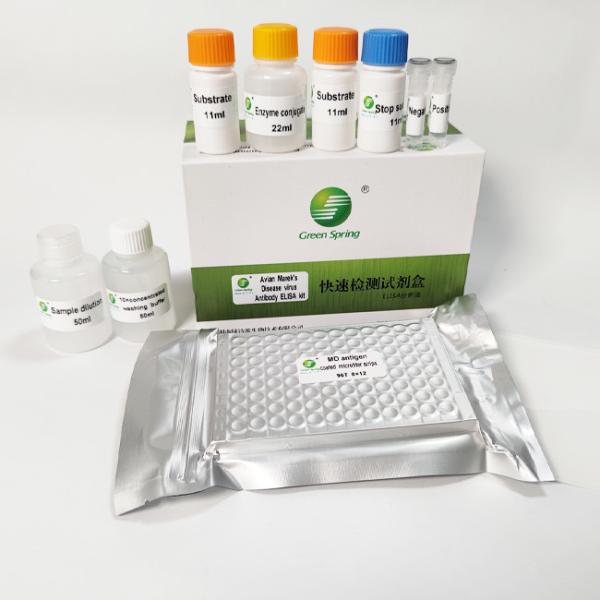 0.5ul Avian Marek'S Avian Influenza Test Kit Rapid Antibody ELISA Kit For Poultry 96 Wells/Kit