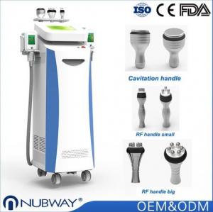 China Professional cryo fat freeze slimming machine / europe cryo lipo freezing machine on sale