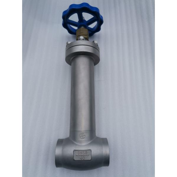 Stainless Steel 304 /316 Low Temperature PCTFE Disc Seal Cryogenic Globe Valve -196~+80℃