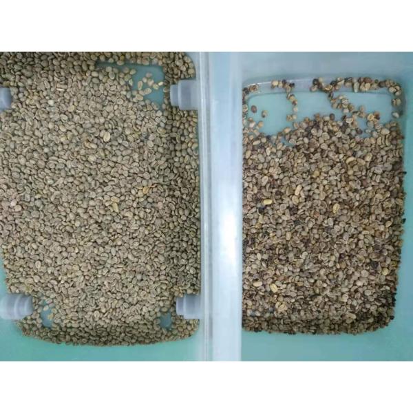 Latest Market Price CCD LED Chickpea Beans Color Sorter Popular in the USA