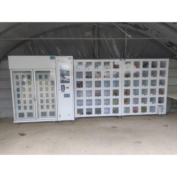 Enhanced Customer Convenience Locker Vending Machine For 24/7 Accessibility And