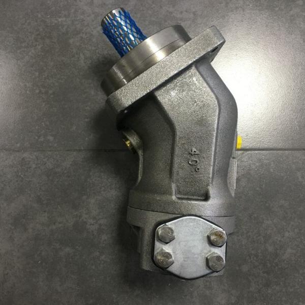 German Rexroth Quantitative Piston Pump with Up to 400 L/min Flow Rate and 12 Months Warranty for Engineering Machinery