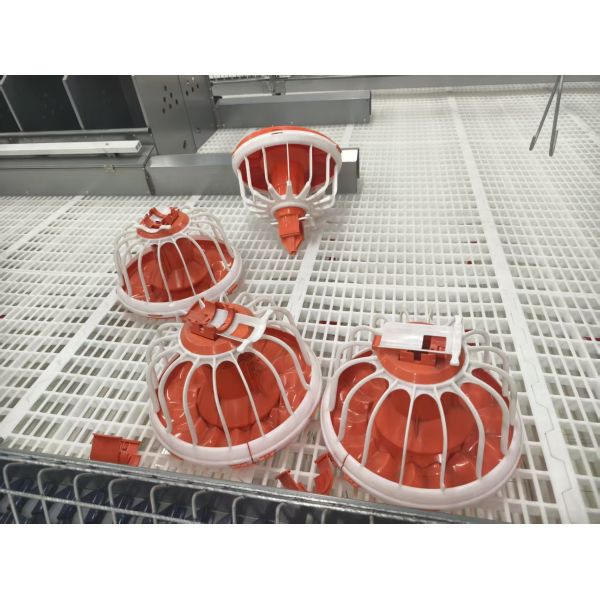 Economical Automatic Broiler Ground Breeding System with Galvanized Steel Chicken Farm Equipment