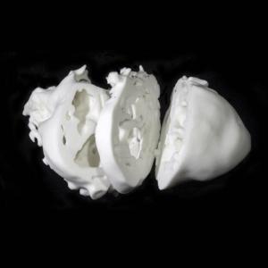 Selective Laser Melting 3d Printing Prototype China Titanium Alloy Resin Clear