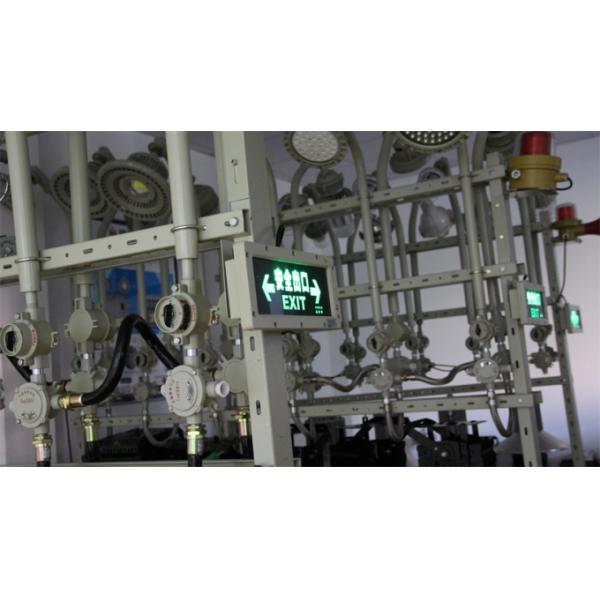 ATEX / IECEx / RoHS / CNEX / ISO9001 Certified Compact Explosion-Proof Emergency Exit Lights CRI ≥70 Customizable For Hazardous Areas 0