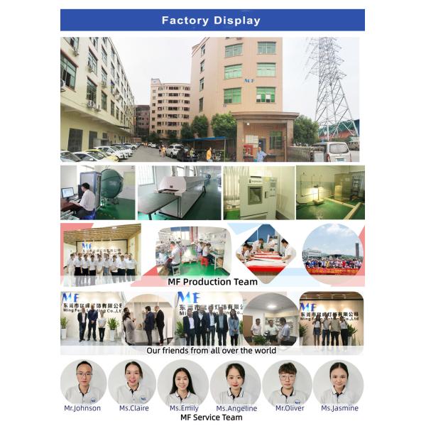 50W 5000K LED Tri-Proof Light CCT Adjustable Safety and Stable IP66 Waterproof Lamp for Factory and Warehouse