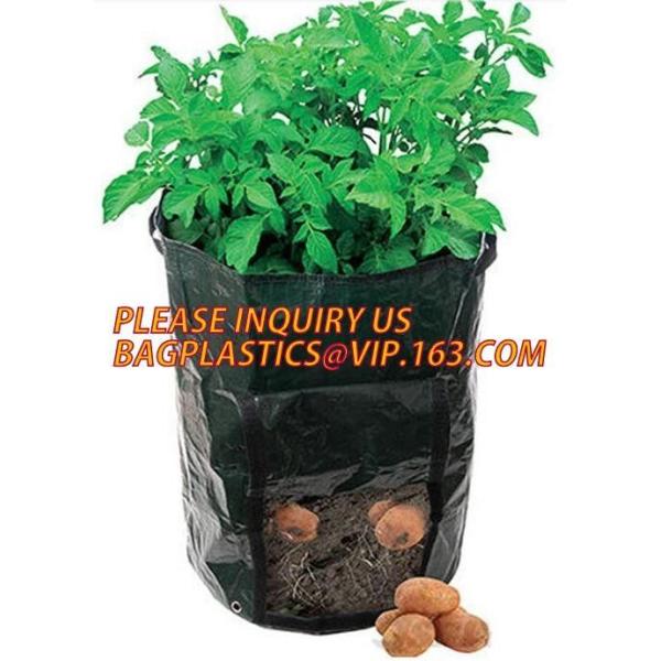 Smart Grow Bags For Potato/Plant Container/Aeration Fabric Pots With Handles Fabric Plants Pots with Handles, Indoor