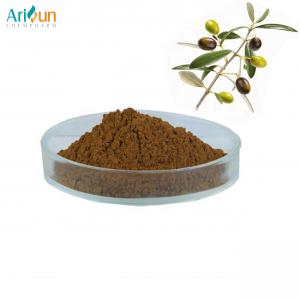 Quality Natural 20% Oleuropein Olive Leaf Extract Powder 80 Mesh for sale