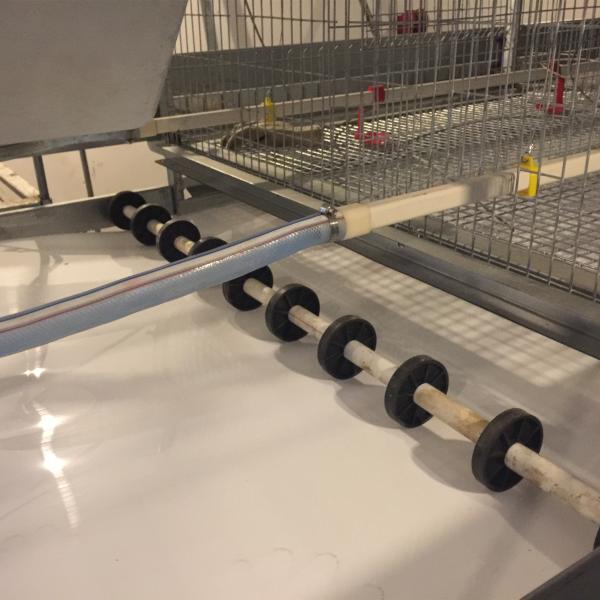 H Type 4 Layer 4 Door Baby Chick Cage Hot Galvanized Steel
