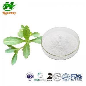 China Natural Sweetener Powder / Stevia Leaf Extract Powder Stevioside Chlorogenic 10%-98% on sale