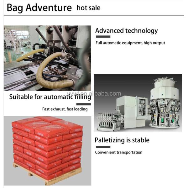 Empty Valve Bag for Chemical Masterbatch Cement Gypsum Mortar Putty Tile Adhesive Fertiliser ISO9001 2008 Certified