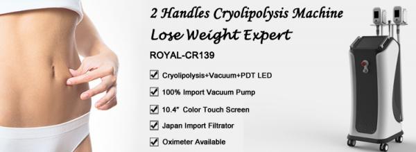 2018 Best Product Weight Loss Cryolipolysis Machine With Two Handles