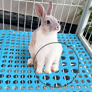 Rabbit Cage Mat Floor Plastic Bunny Resting Mats For Wire Cage Bottom Washable Small Animal Feet Pad With Holes For Chinchilla Ferret Guinea Pig Easy