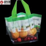 Color Printed Zipper Lock Bags Fruit Packaging Laminated Punch Plastic Material