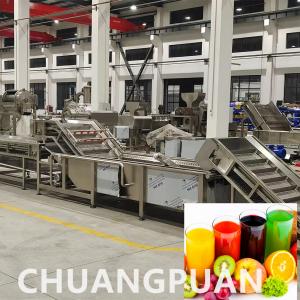 Quality Customizable 1-10T/H Celery Ginger Juice Production Line Squeezing Processing Machine for sale
