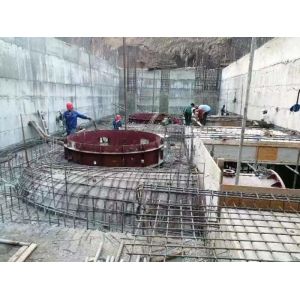 450-1000RPM Rated Speed Francis Turbine Generator for Vertical or Horizontal