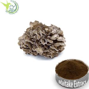 Quality KOSHER Immunity Enhancement Maitake Mushroom Extract Powder for sale