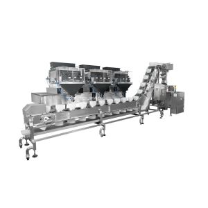 Quality Automatic Weighing Food Packaging Slice Cheese Granule Breakfast Oats Grain Premade Zipper Pouch Nuts Packing Machine for sale