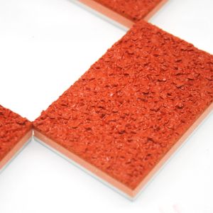 All-Weather Performance Full Pour Polyurethane Plastic Runway With High Friction