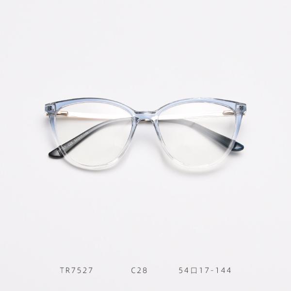 Simplicity Frame Optical Glasses TR90 Material Glasses 138MM Frame Width