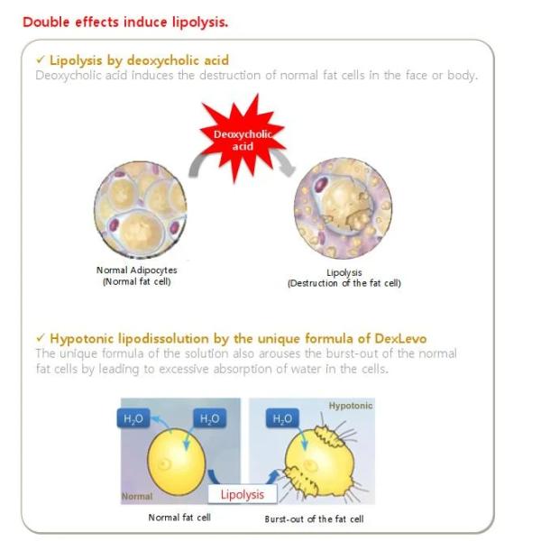 Liquid Lipolysis Injection For Double Chin Advanced Performance