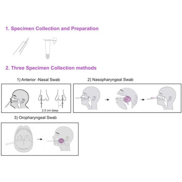 Throat SARS-CoV-2 Rapid Ag Colloidal Gold Rapid Test 10 Tests/Kit CE