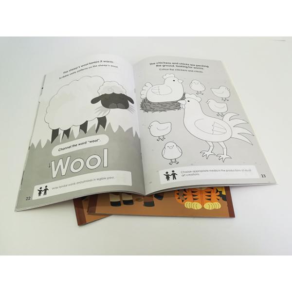 Full Color Magazine Book Printing Cardboard Glossy Brochure Printing
