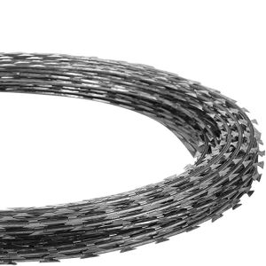 Quality Anti Rust Galvanized Concertina Razor Wire on Prison with Protective Construction for sale