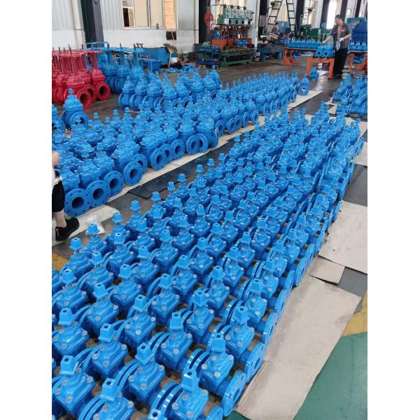 QT450 Manual Operation Gate Valve with PN10-16 Pressure for Industrial Water Applications