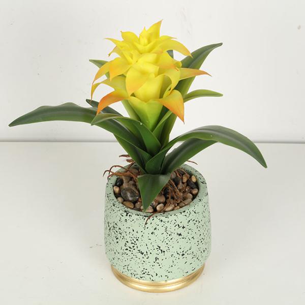 Guzmania Flexible Glue Fake Bonsai Tree 28cm High Simulation Multicolour