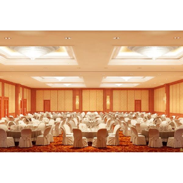 Hanging System Sliding Room Dividers / Operable Partition Walls