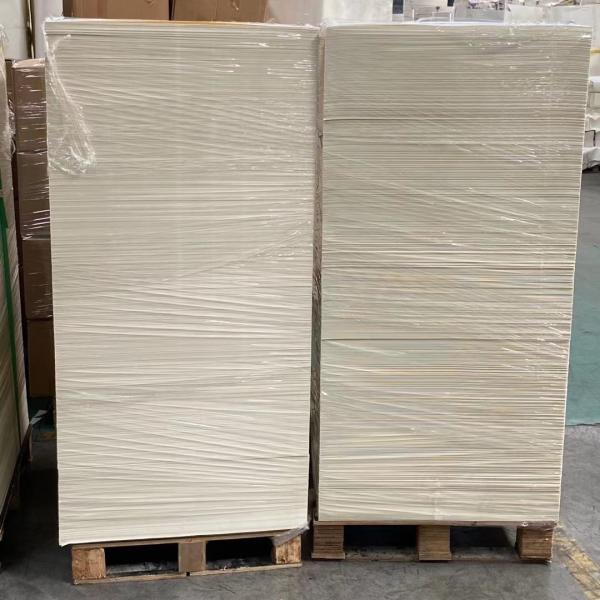 Food Grade PE Coated Paper In Sheets for Paper Cup And Paper Bowl