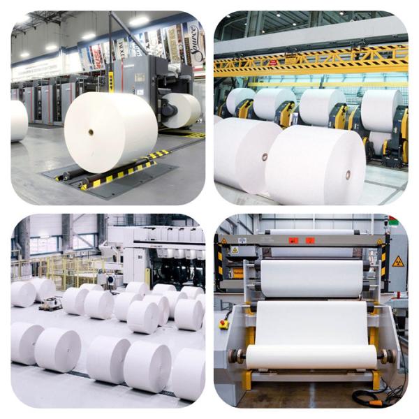 Natural Polymer Of CAS NO. 65497-29-2 Has Medium Degree Of Substitution For Dry Strength Agent In Papermaking