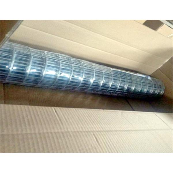 50X50 PVC Coated Abrasion Proof Galvanized Wire Fence Roll Hardware Cloth for Garden and Animal Fences
