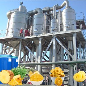 Customized Automatic Pineapple Processing Line 304 Stainless Steel 220 - 380V