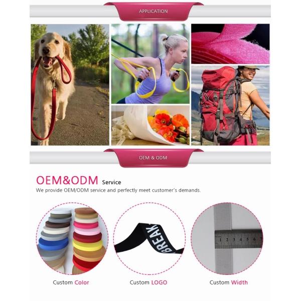 Garment Bags 38mm Jacquard Polyester Flat Webbing Trim