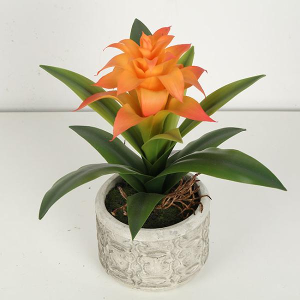 Guzmania Flexible Glue Fake Bonsai Tree 28cm High Simulation Multicolour