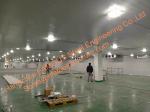 Blast Freezer Cold Room Fishing Equipment , Cold Storage Walk In Cooler And