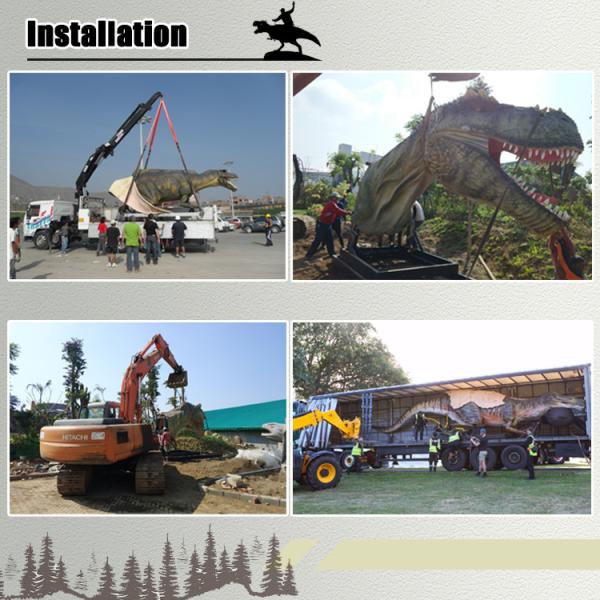 Authentic Personalized Dinosaur Skeleton Model For Outdoor Decoration Shunosaurus Skeleton Replicas