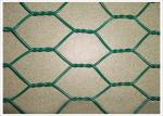 1/2 3/4" Iso 9001 Hot Galvanizing 3.05mm Hexagonal Chicken Wire Mesh