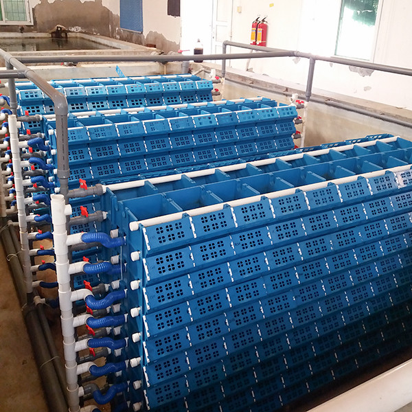 Custom Indoor Ras Technology Aquaculture Water Recirculation System In Aquaculture