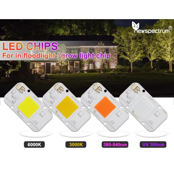 Warm White Light 50 Watt Cob Led Chip Energy Saving Design Superior Waterproof