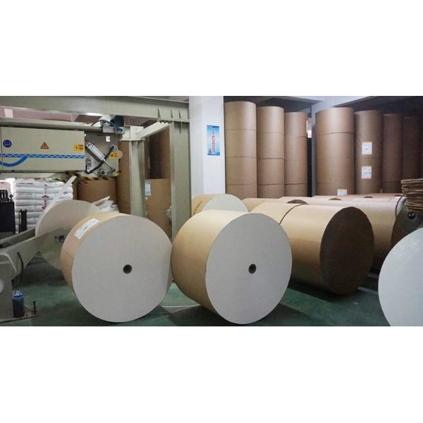 Pe Coated Paper Cup Raw Material Eco Friendly Food PE Paper Roll